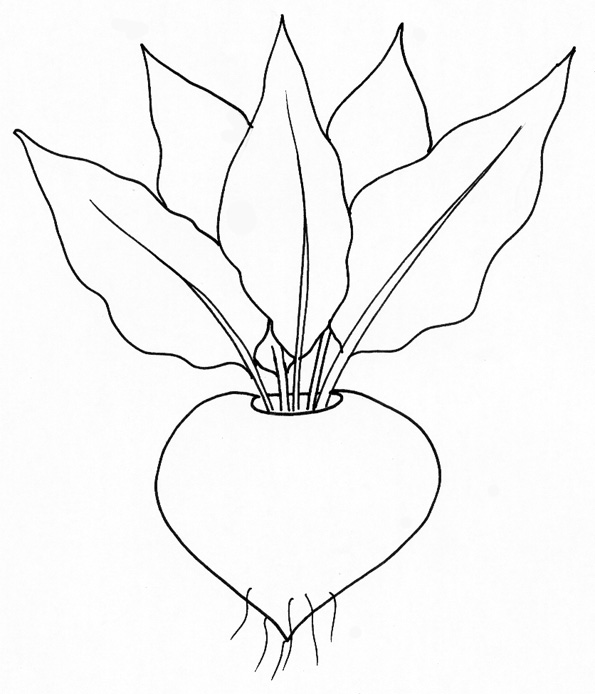 Dessin de légume #29 - Cliquez pour imprimer  Coloriage légume à imprimer gratuit
