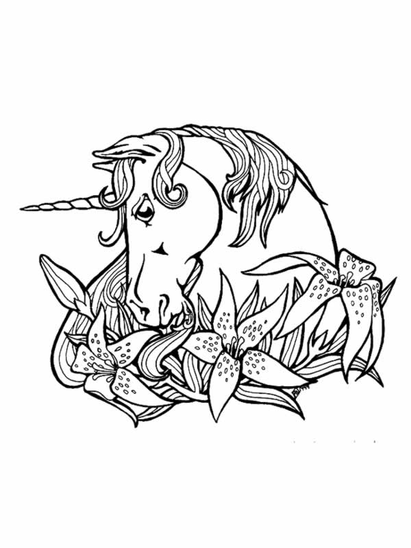 Dessin licorne à imprimer #21126 Image #21126 - Coloriage licorne gratuit