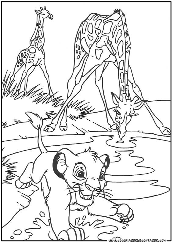 le roi lion disney coloriage à colorier. les coloriages et dessin  Dessin gratuit de lion a imprimer et colorier