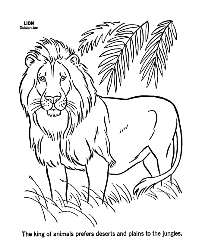 Coloriage de lion gratuit