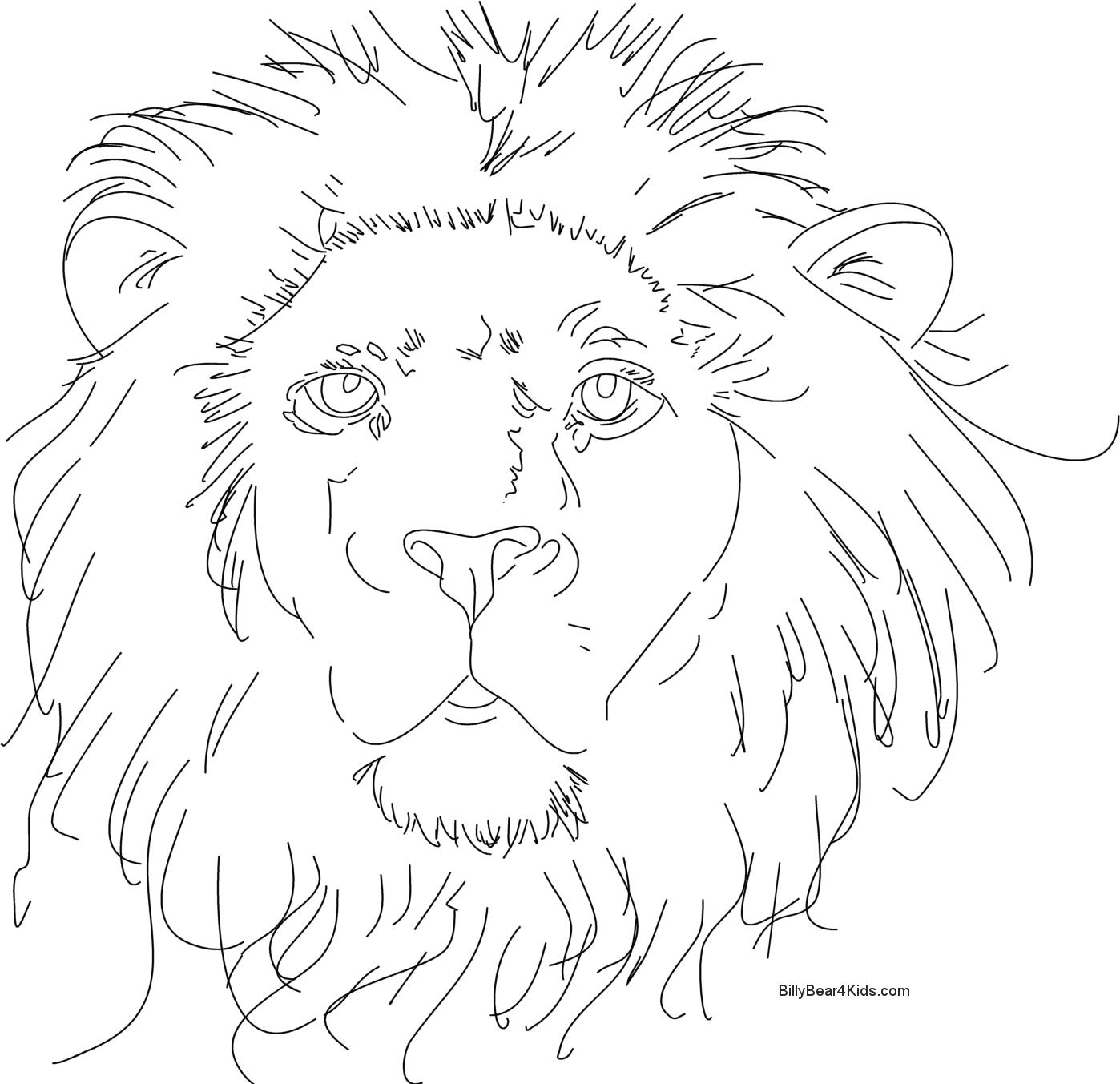 Image de lion a dessiner