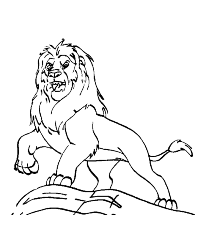 Dessin de lion à colorier