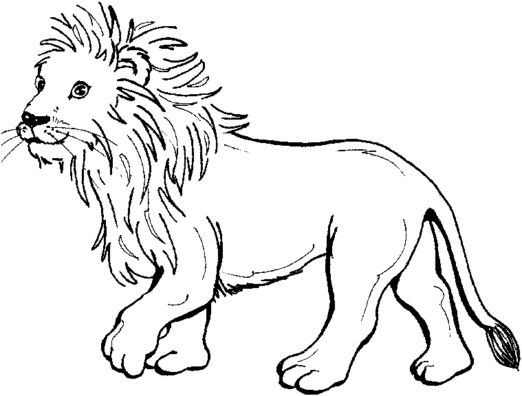 Coloriage lion a colorier