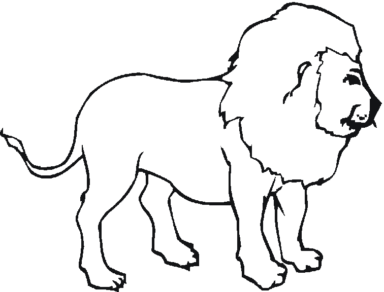 Coloriage A Imprimer Lion