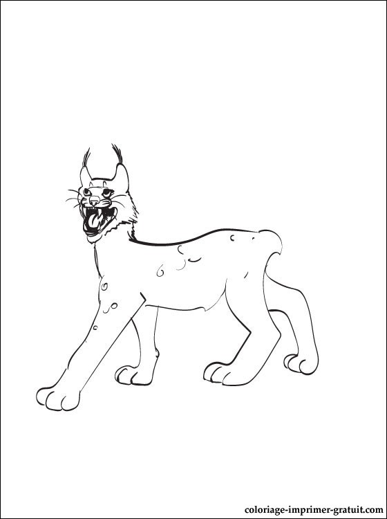 Dessin #13346 - dessin de lynx à colorier et imprimer