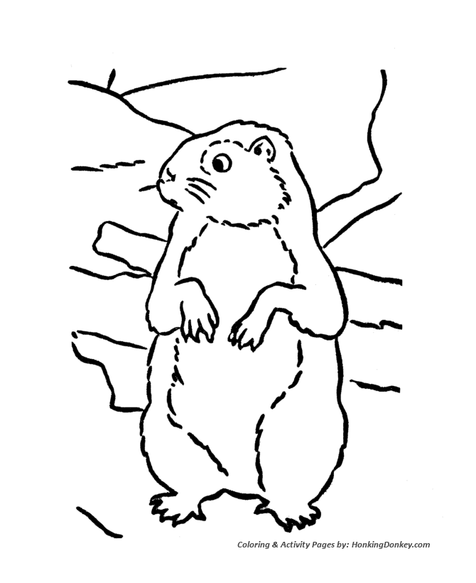 Dessin #13382 - Image de marmotte a imprimer et colorier