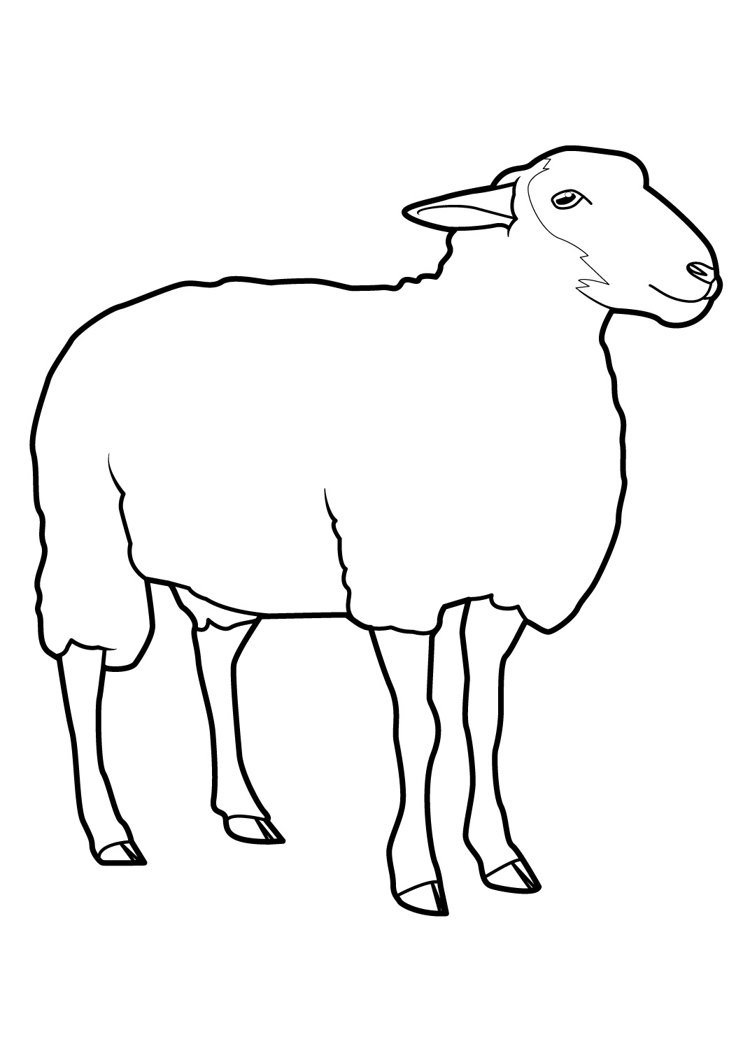 Dessin #13417 - jeux de coloriage mouton