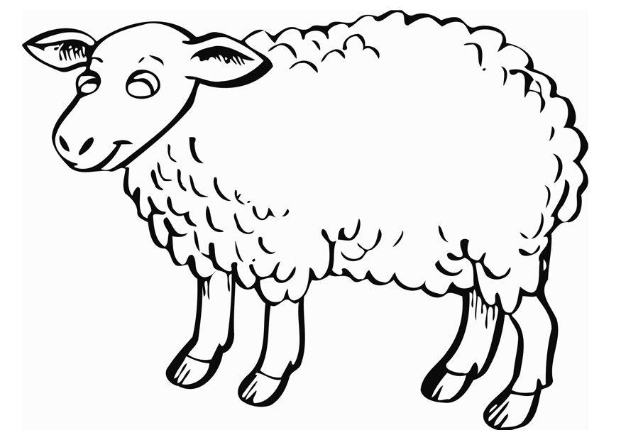 Dessin #13418 - Dessin gratuit de mouton a imprimer et colorier
