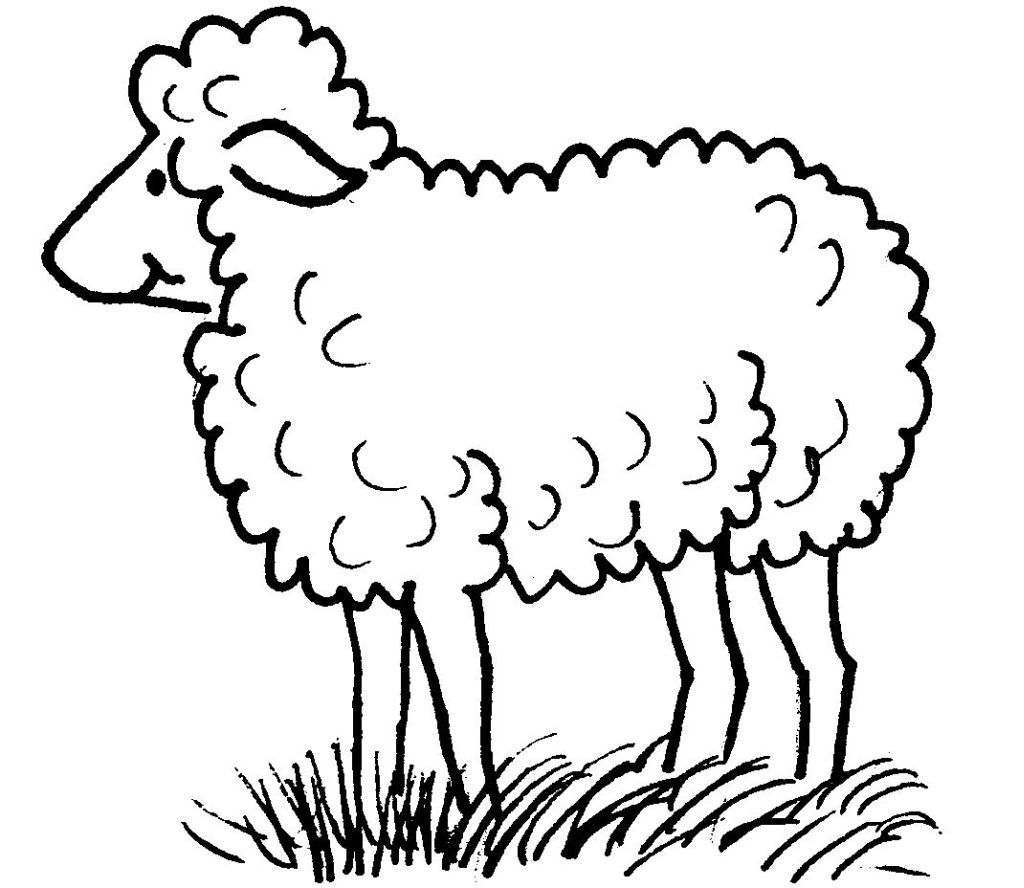 Dessin #13423 - Une Jolie image de mouton a colorier et imprimer