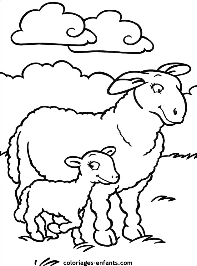 Dessin #13424 - Dessin gratuit mouton à imprimer