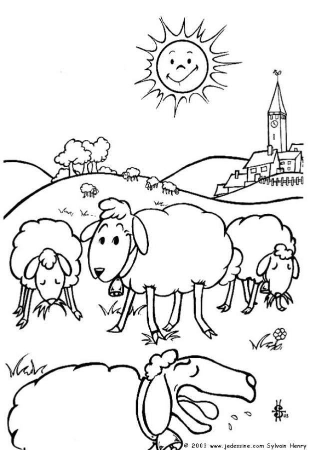 Dessin #13426 - coloriage mouton