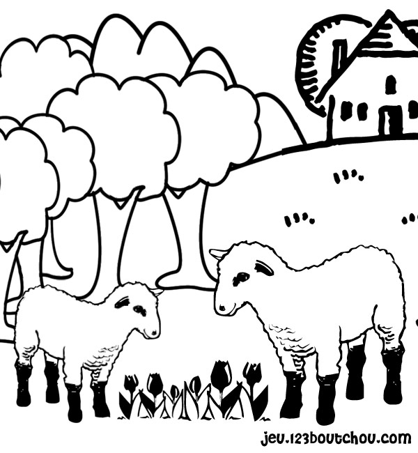 Dessin #13428 - Coloriage de mouton gratuit à imprimer