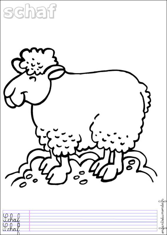 Dessin #13432 - coloriage mouton à imprimer