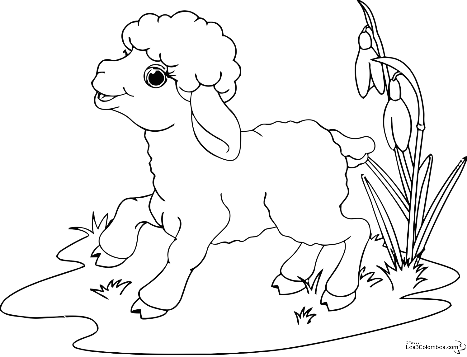 Dessin #13434 - Une belle image de mouton à colorier et imprimer - Pour enfants