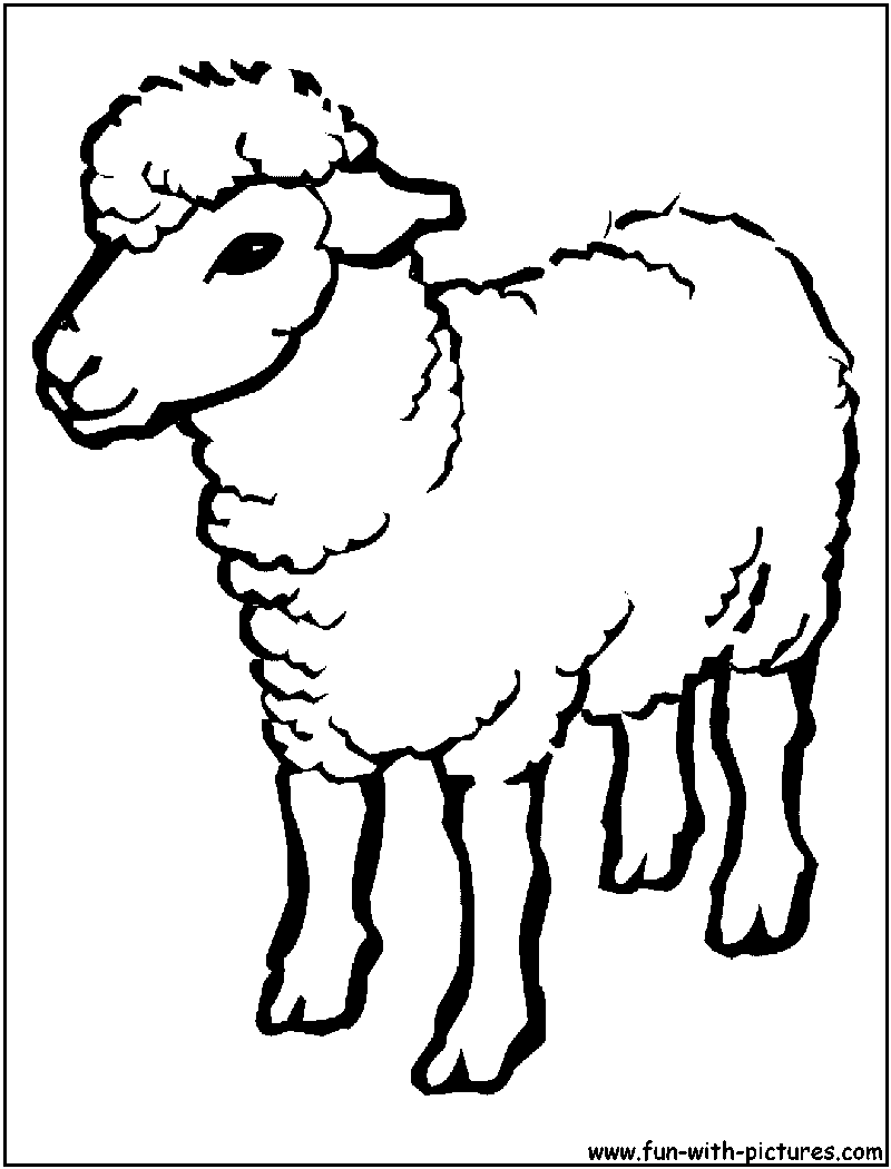 Dessin #13442 - dessin de mouton à colorier