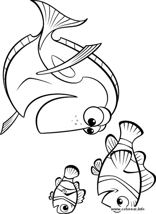 Image #25760 - Coloriage nemo gratuit