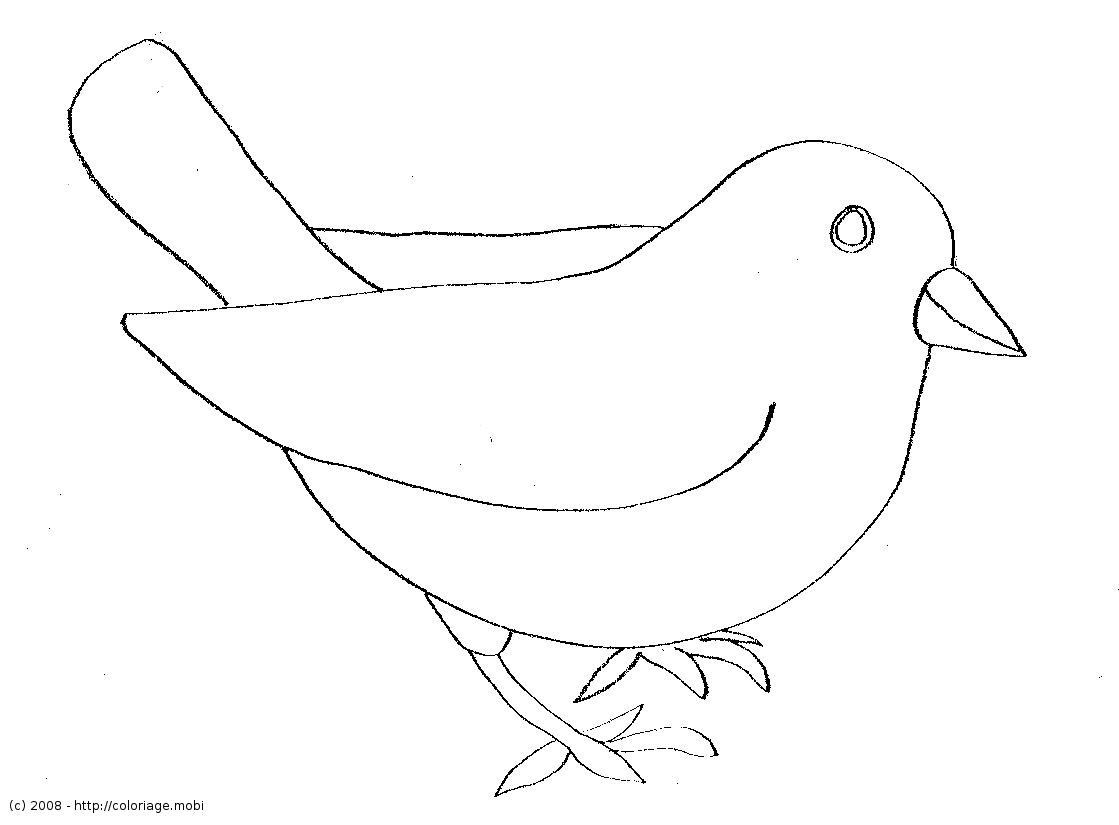 Coloriage Oiseau Simple A Imprimer Shizukuglassb