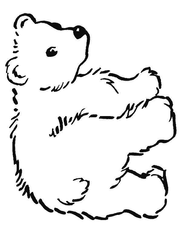 Dessin #13459 - dessin gratuit de ours a imprimer