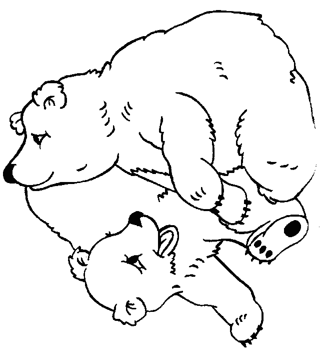 Dessin #13470 - image de ours a colorier