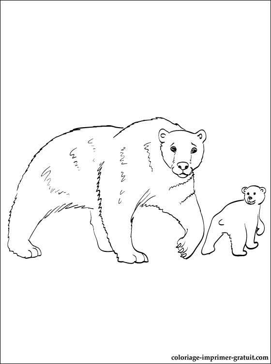 Dessin #13479 - coloriage de ours gratuit à imprimer et colorier