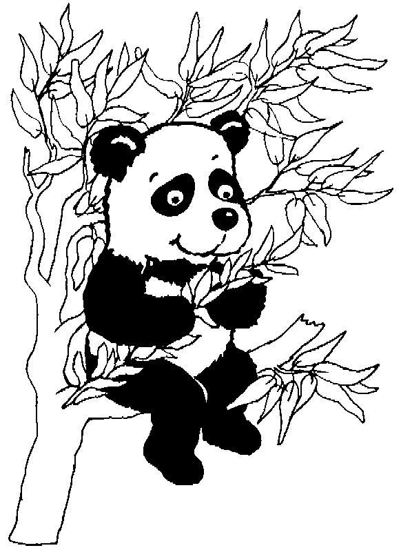 Dessin #13492 - Dessin de pandas à imprimer