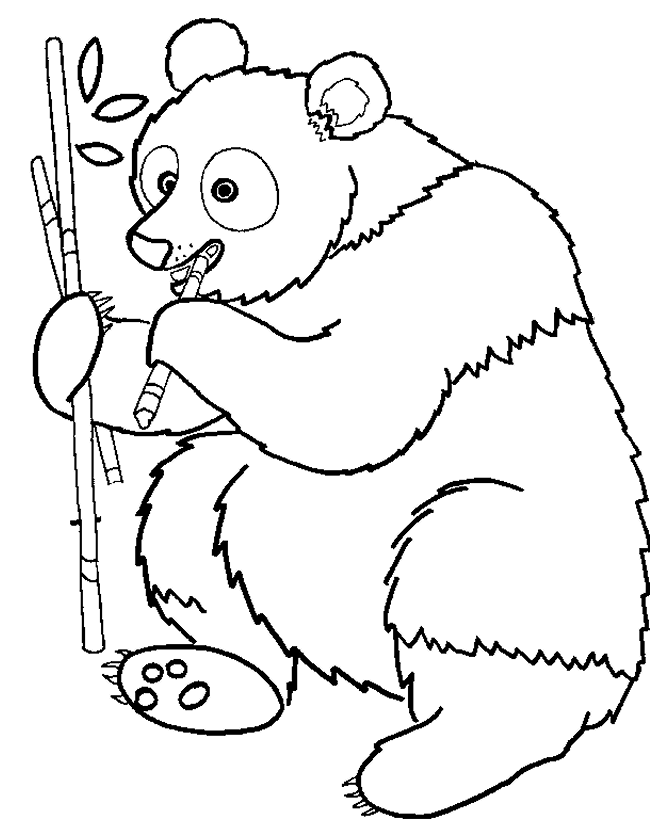 Dessin #13495 - dessin gratuit de pandas a imprimer