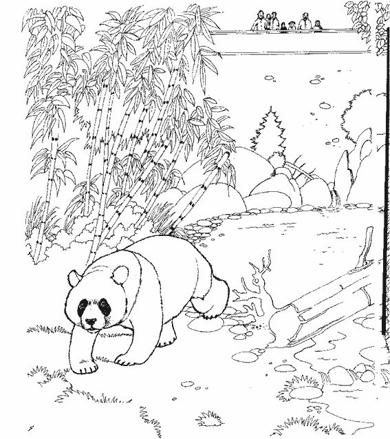 Dessin #13502 - coloriage pandas imprimer et colorier
