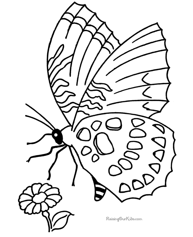 Coloriage de papillon gratuit à imprimer