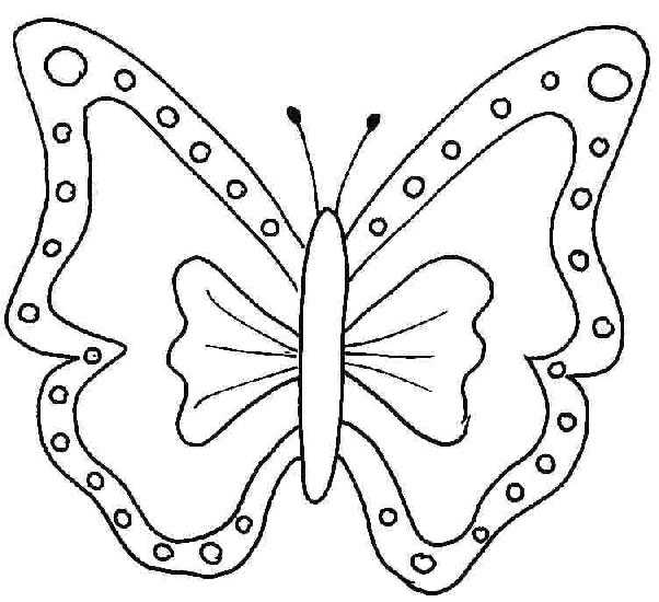 Dessin de papillon