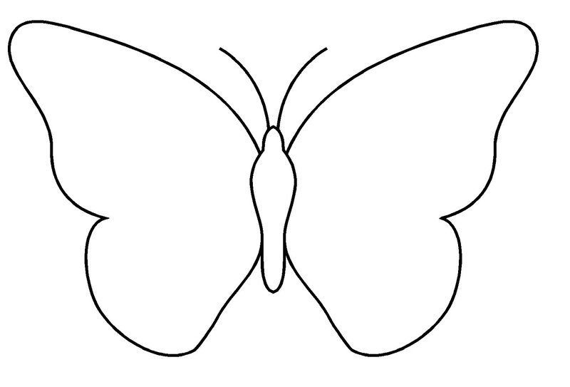 110 Dessins De Coloriage Papillon à Imprimer Sur Page 4