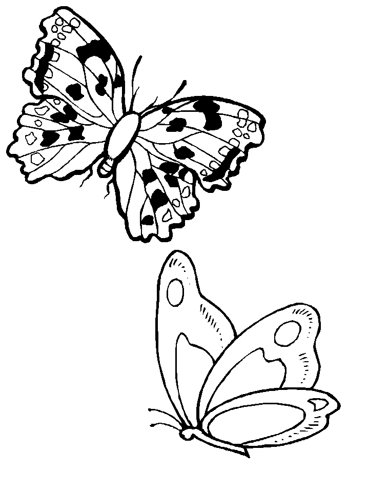 Dessin gratuit de papillon à imprimer