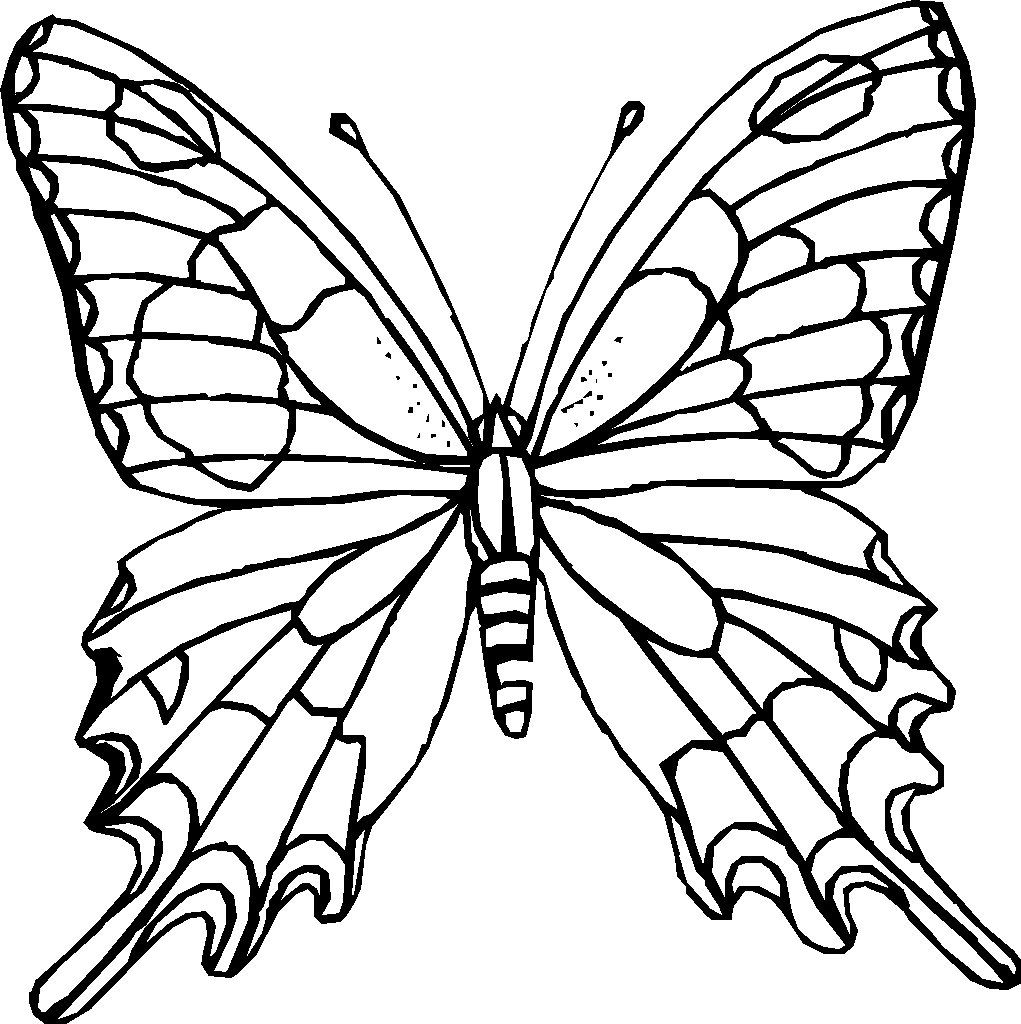 Coloriage de papillon a imprimer