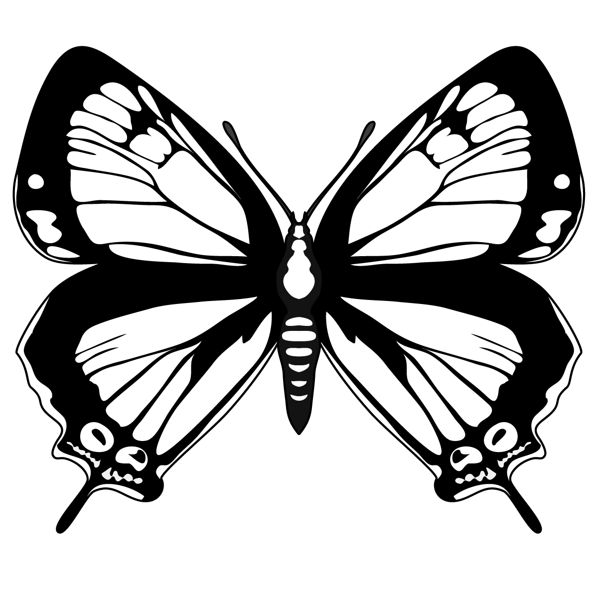 Dessin gratuit papillon à imprimer