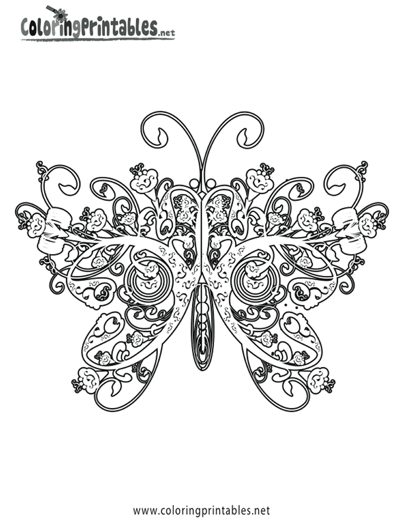 Image de papillon a dessiner