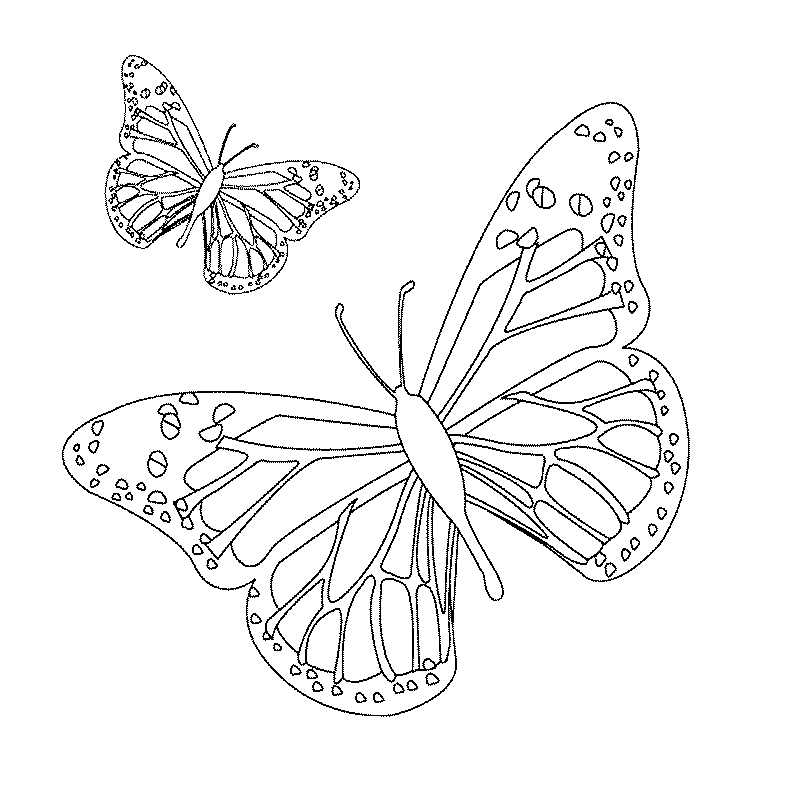 Dessin de papillon imprimer et colorier