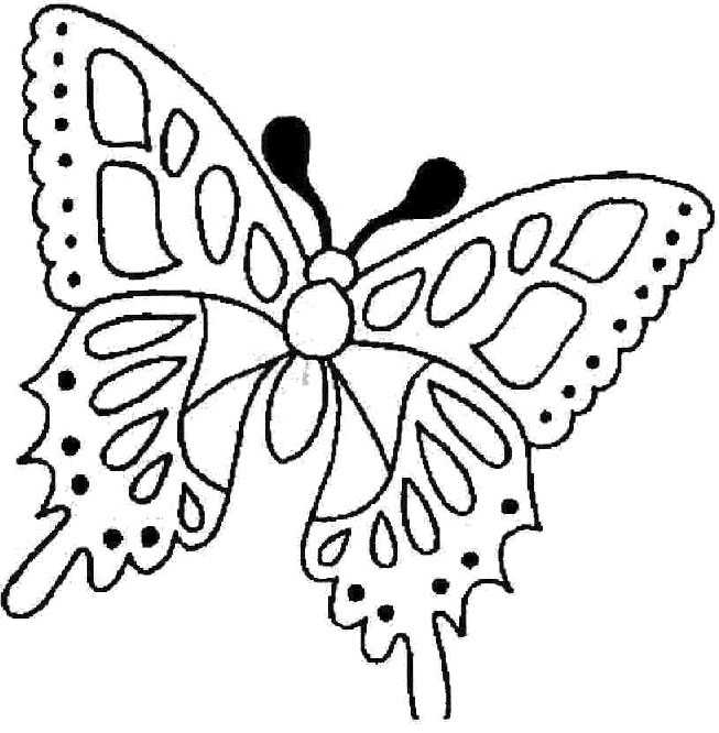 Dessin gratuit de papillon a imprimer et colorier