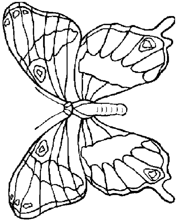 Dessin de papillon