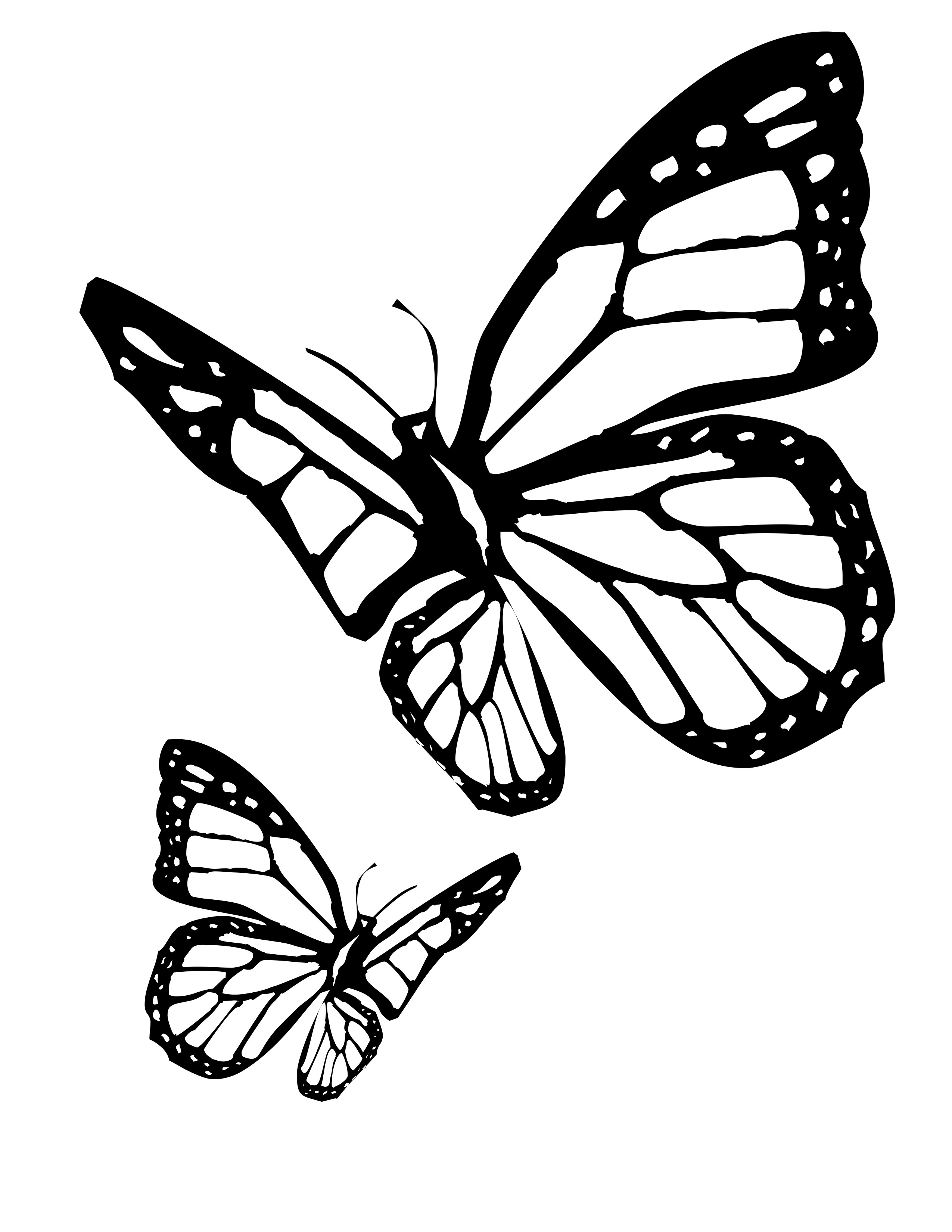 Dessin de papillon gratuit à imprimer et colorier