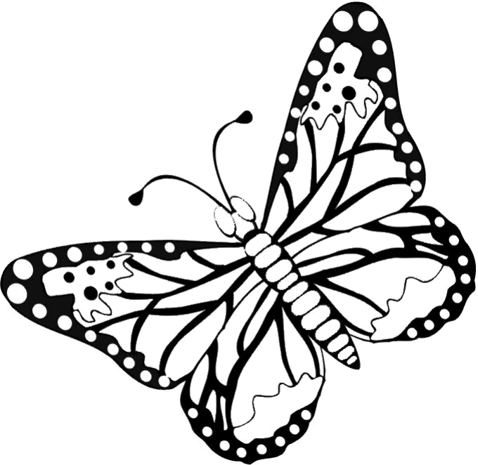 110 Dessins De Coloriage Papillon à Imprimer Sur Page 11