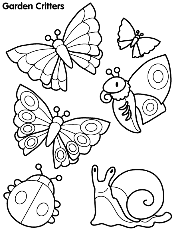 Dessin gratuit papillon a imprimer et colorier