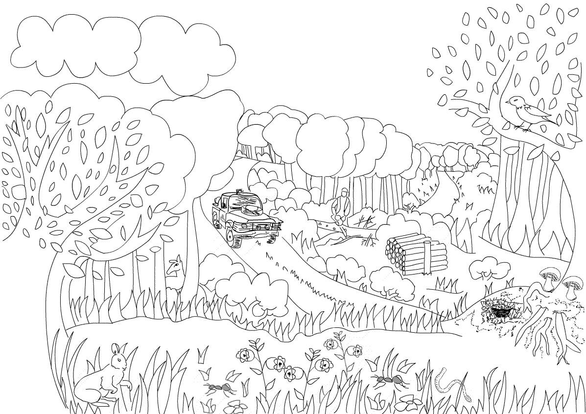 Coloriage Paysage Printemps A Imprimer