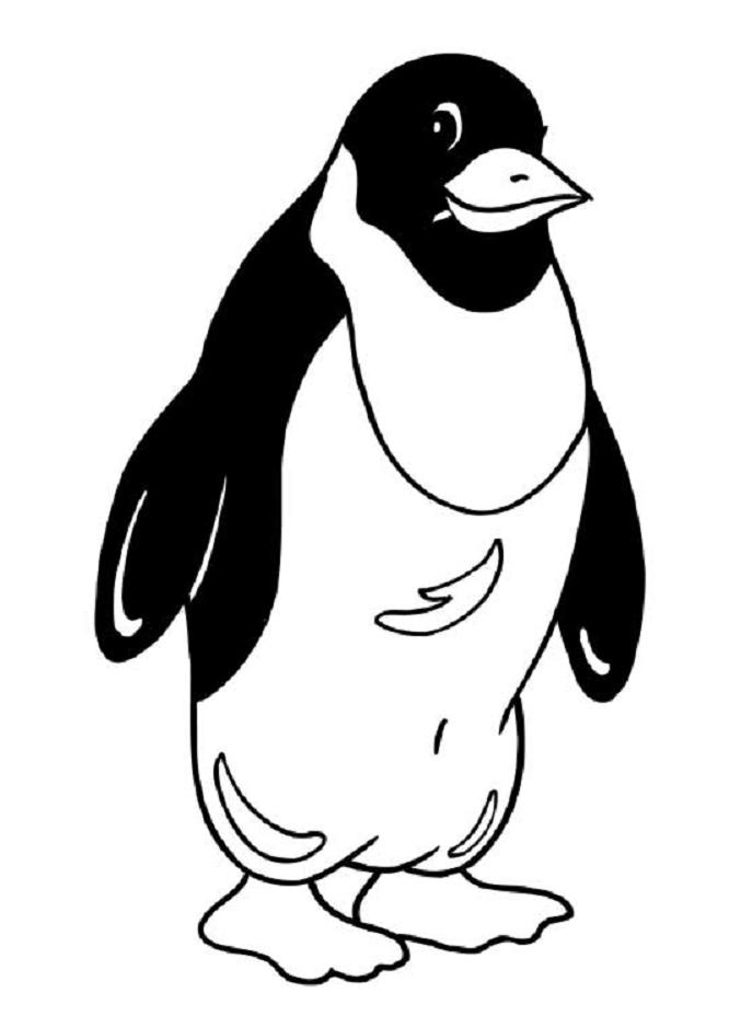 Dessin #13558 - Une belle image de pingouin a imprimer