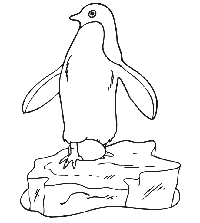 Dessin #13559 - Coloriage pingouin imprimer et colorier