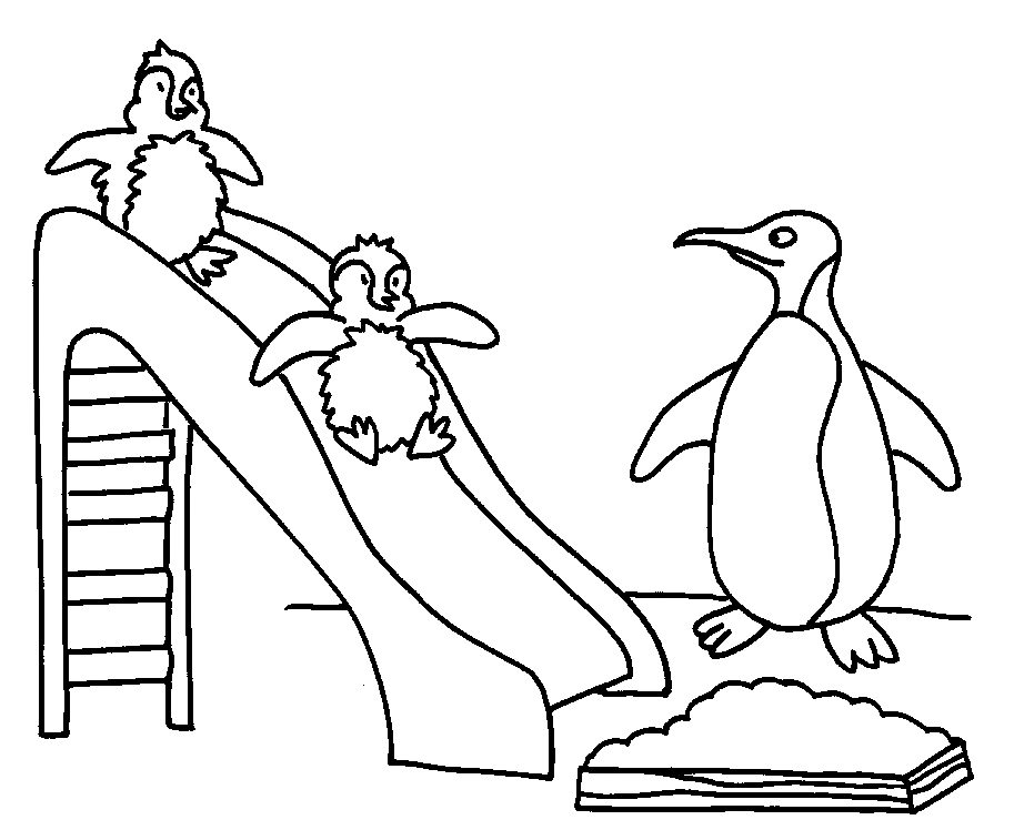 Dessin #13567 - Dessin de pingouin