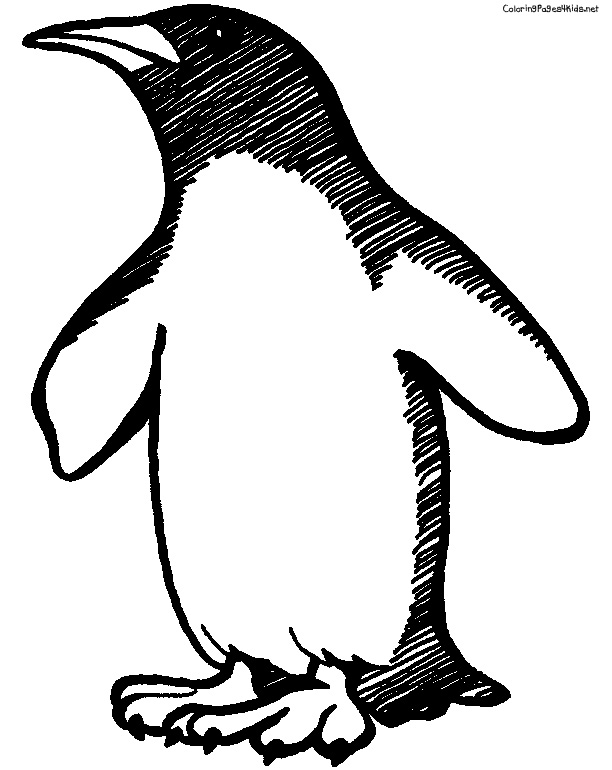 Dessin #13569 - dessin de pingouin à colorier et imprimer