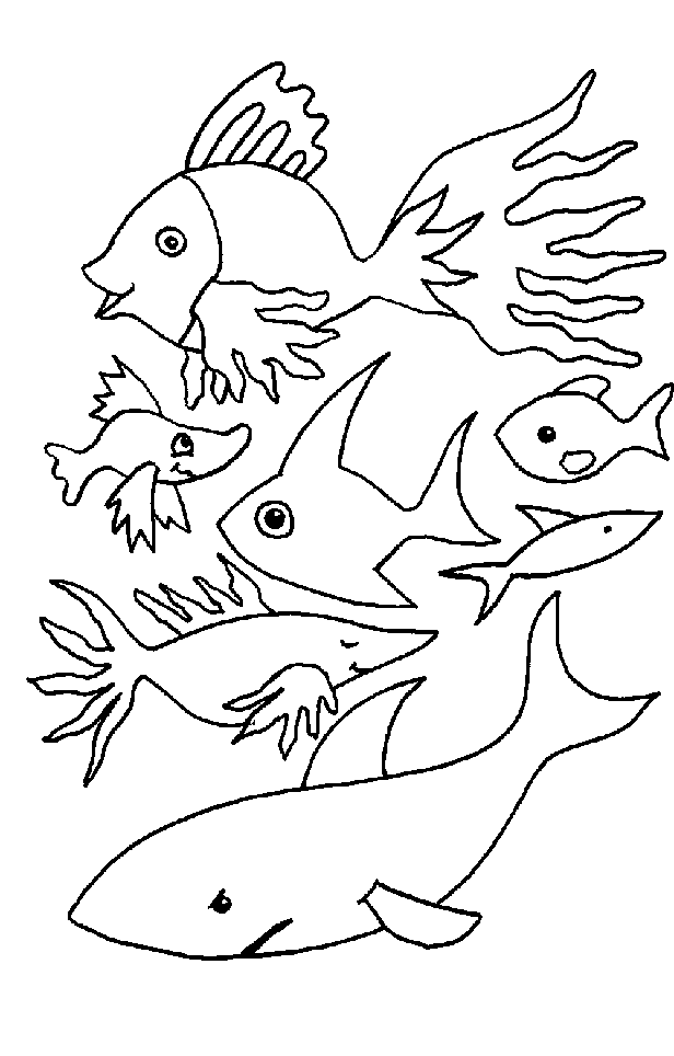 Coloriage de poisson à colorier