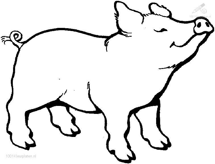 Dessin #13572 - dessin de porc gratuit a imprimer et colorier