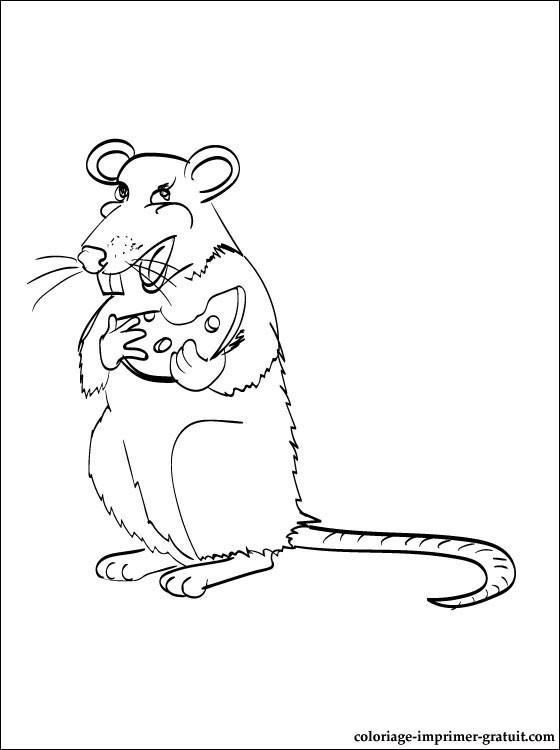 Dessin #13654 - Un beau dessin de rat a imprimer et colorier