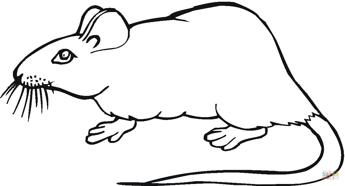 Dessin #13666 - dessin gratuit de rat a colorier