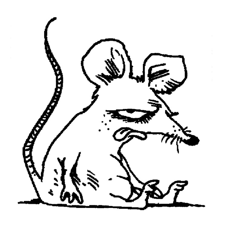 Dessin #13667 - dessin de rat